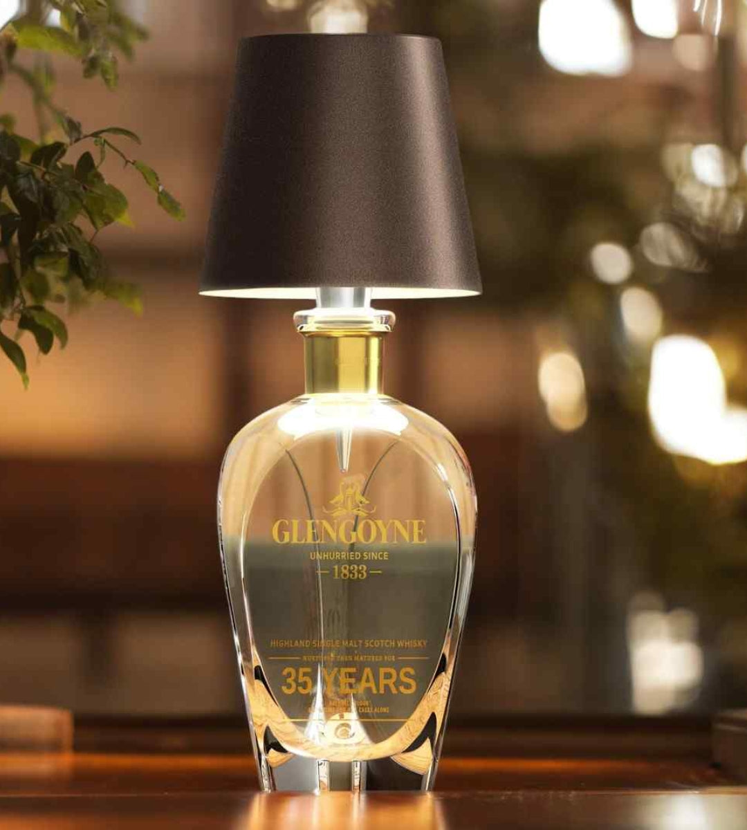 Wireless Bottle Light