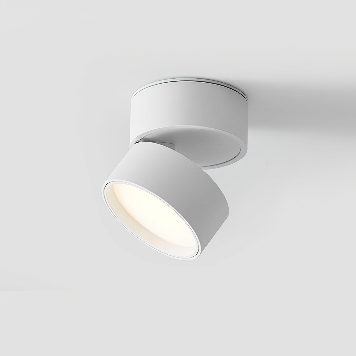 Adjustable minimalist ceiling light