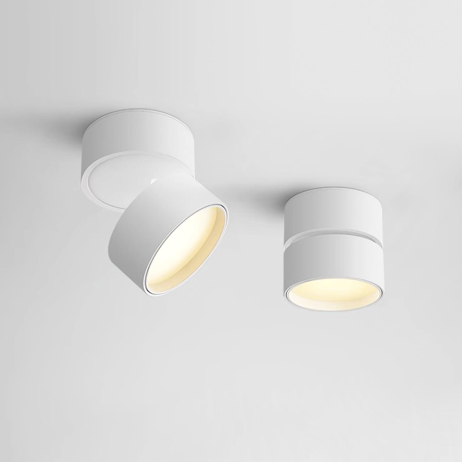 Adjustable minimalist ceiling light