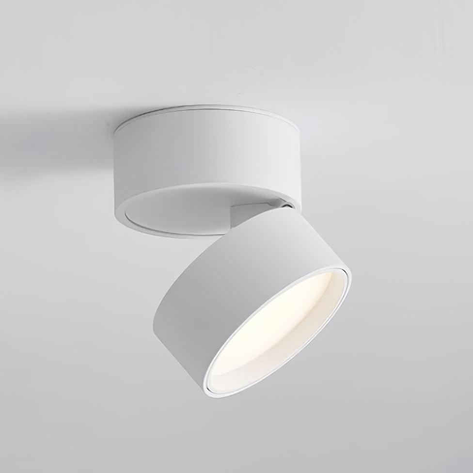 Adjustable minimalist ceiling light
