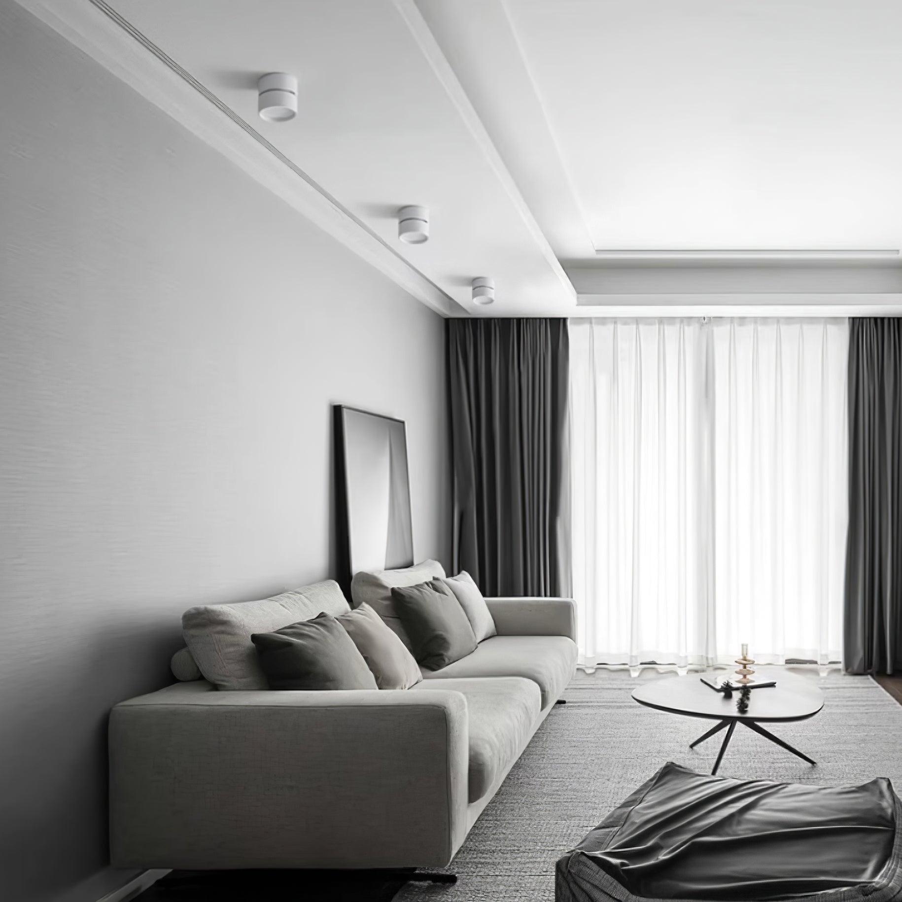 Adjustable minimalist ceiling light