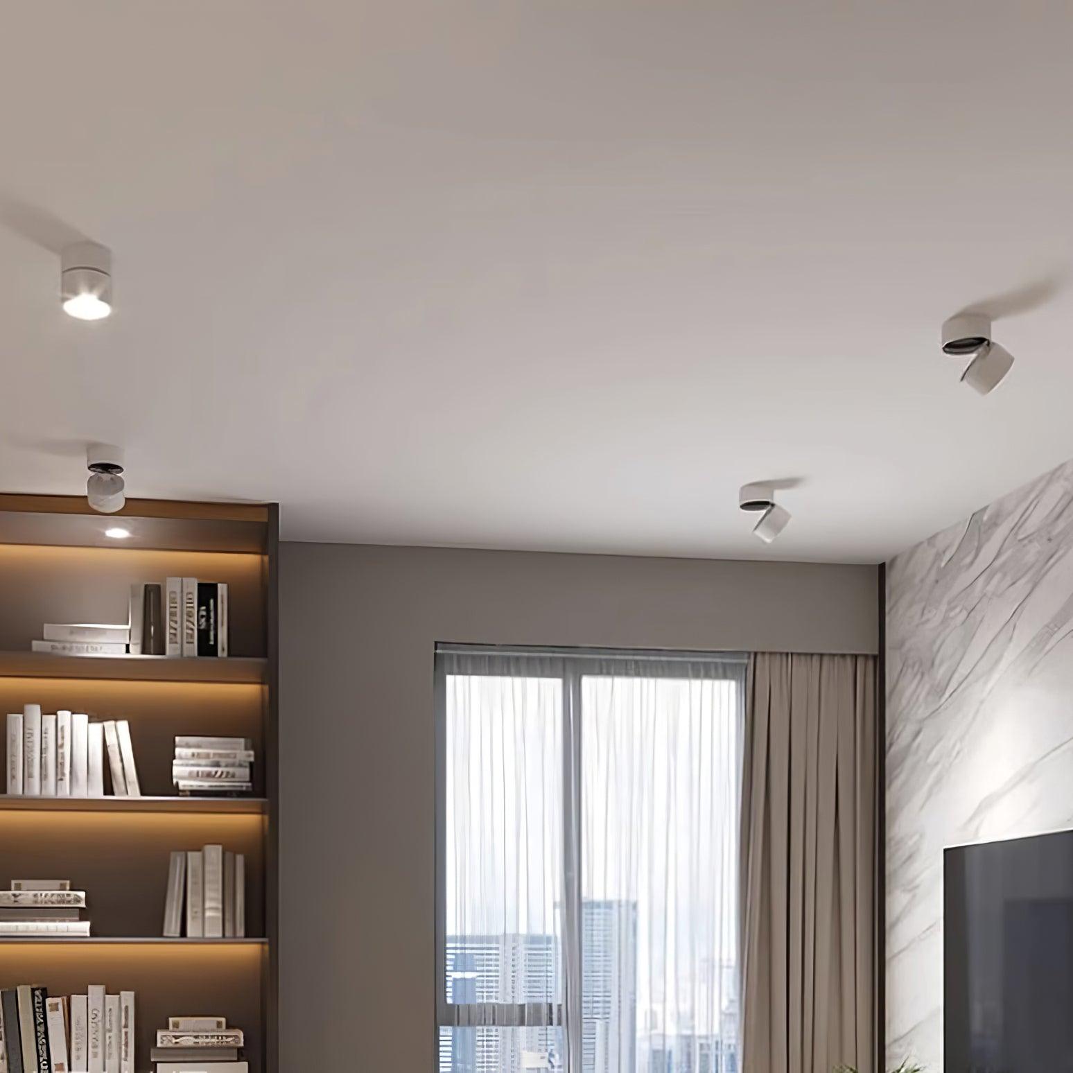 Adjustable minimalist ceiling light