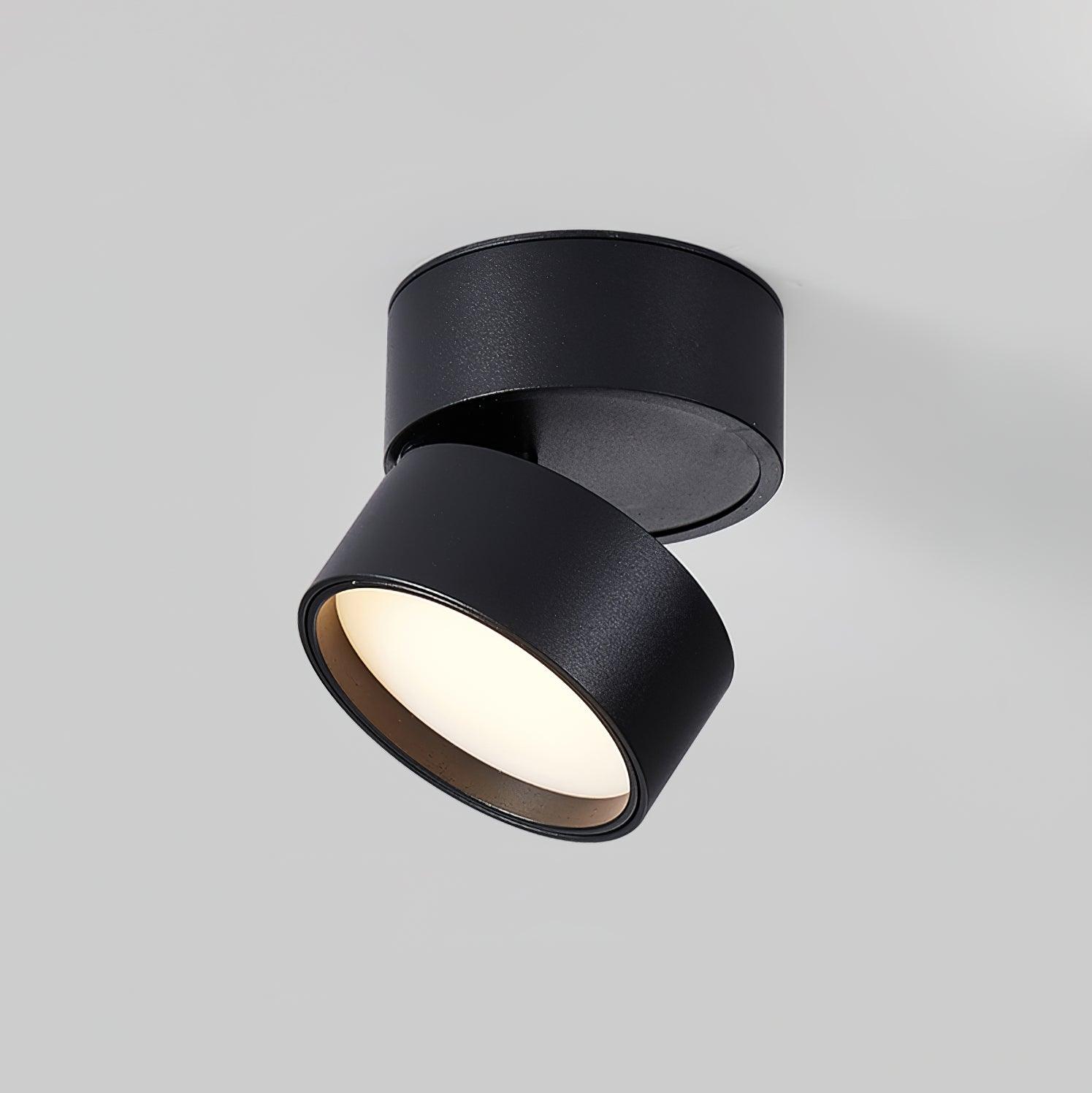 Adjustable minimalist ceiling light