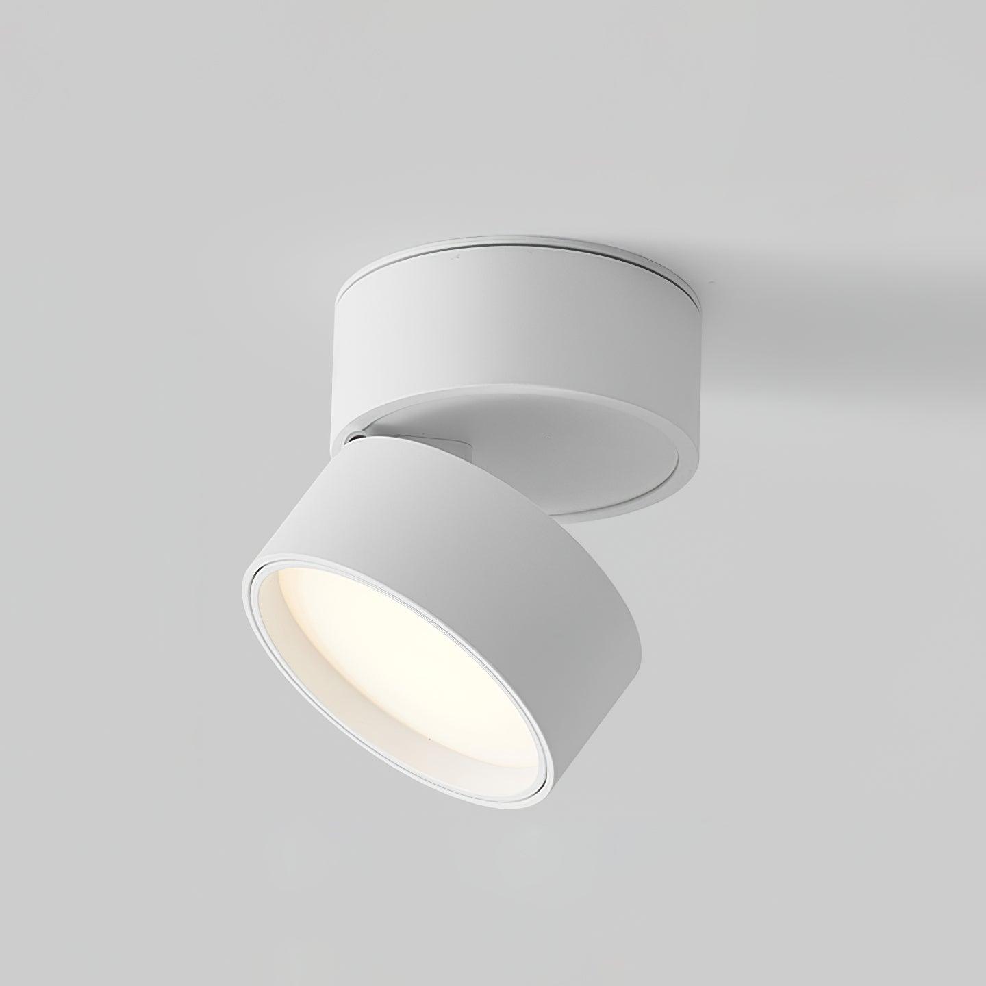Adjustable minimalist ceiling light