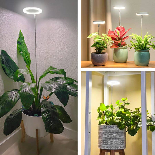 Plant Lamp – Stylish Lighting for Healthy Growth
