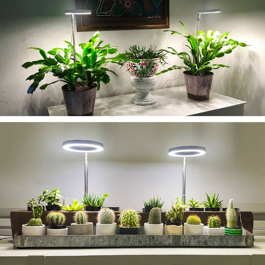 Plant Lamp – Stylish Lighting for Healthy Growth