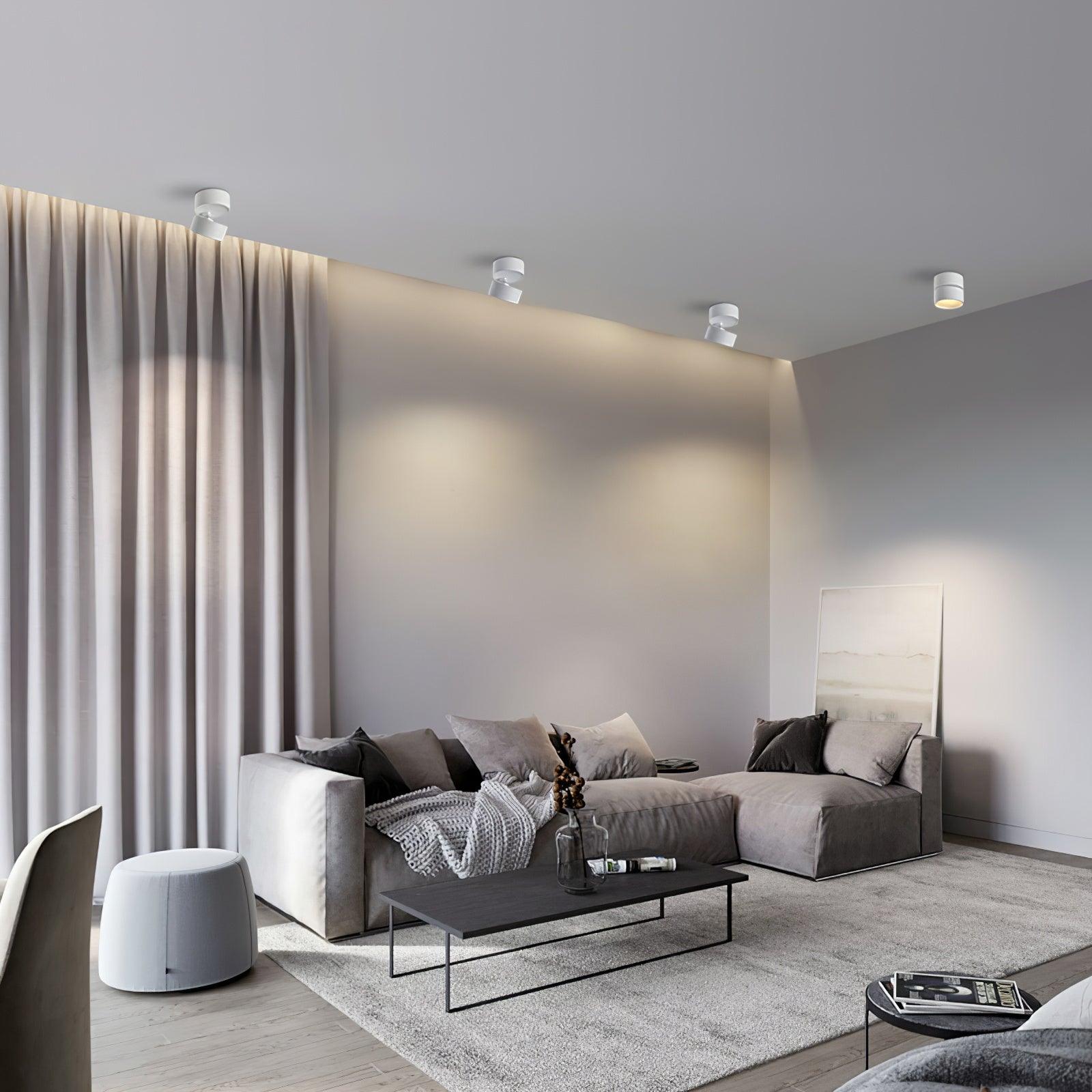 Savvina Adjustable Minimalist Ceiling Light