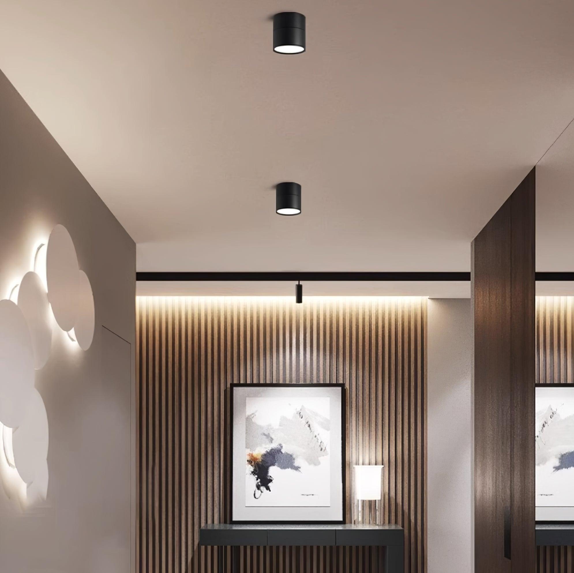 Savvina Adjustable Minimalist Ceiling Light