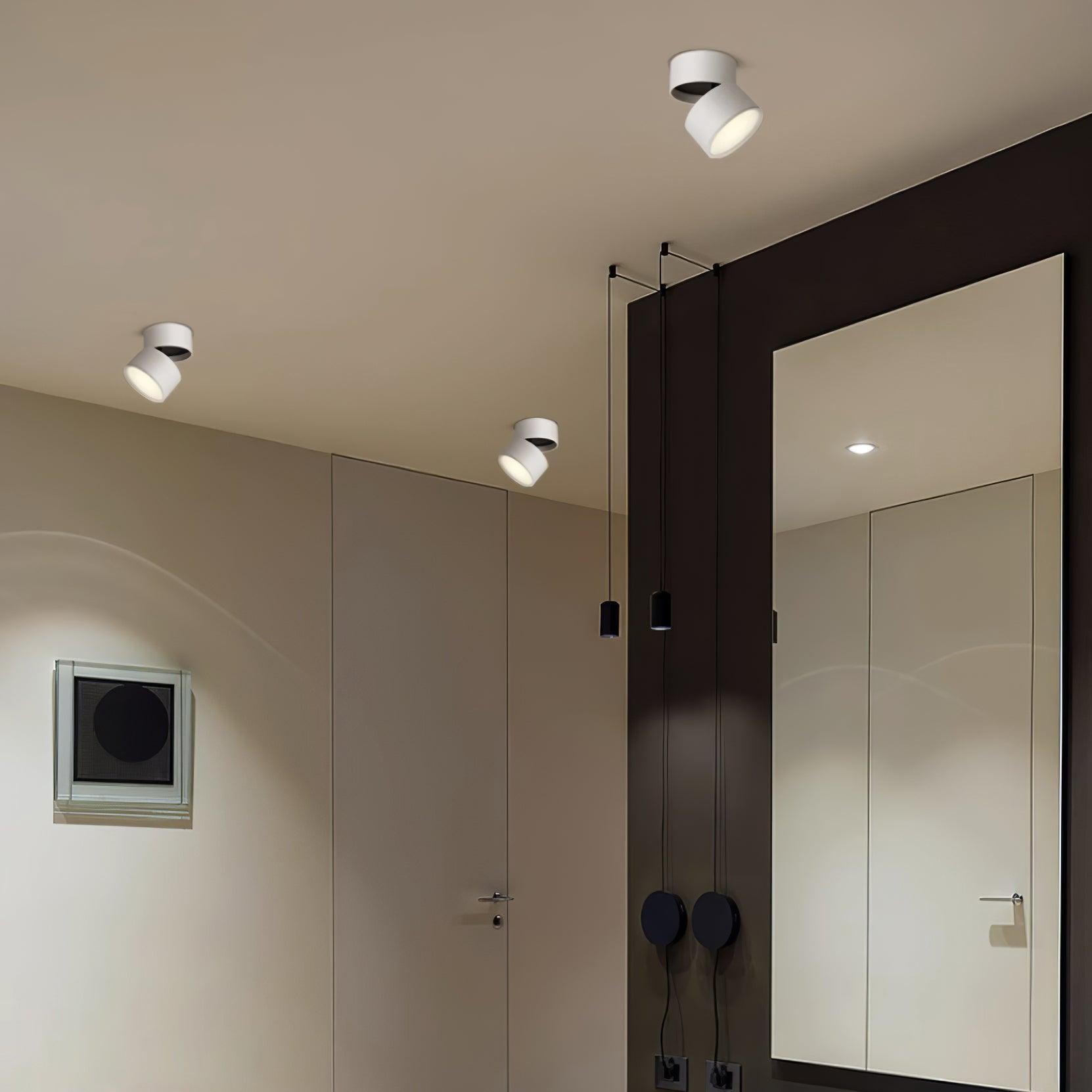 Savvina Adjustable Minimalist Ceiling Light