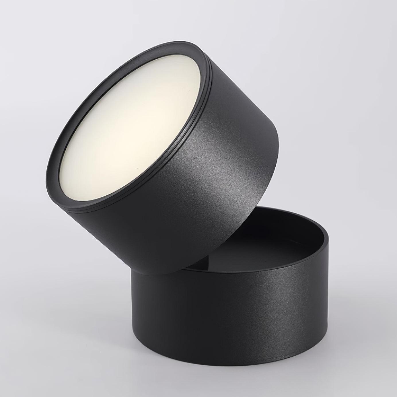 Savvina Adjustable Minimalist Ceiling Light
