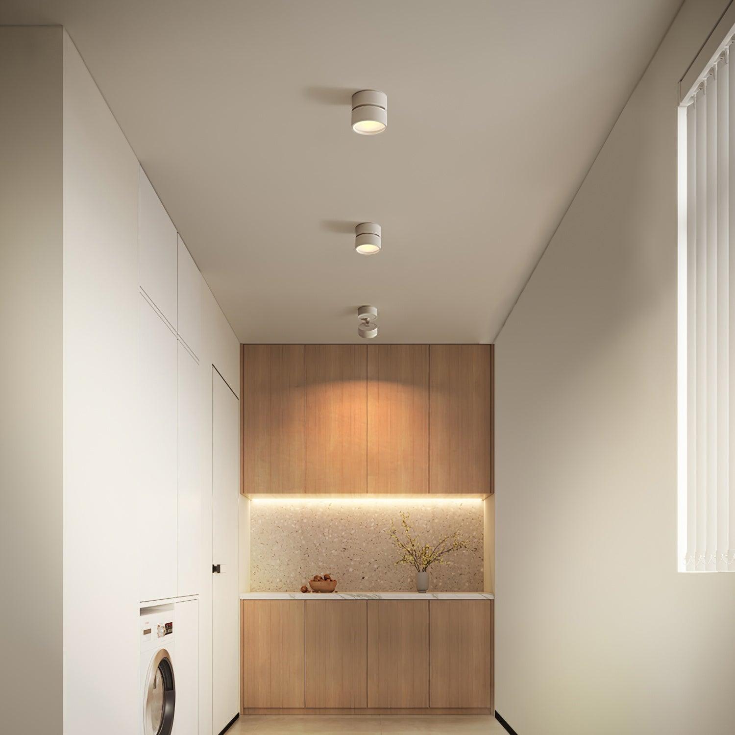 Savvina Adjustable Minimalist Ceiling Light