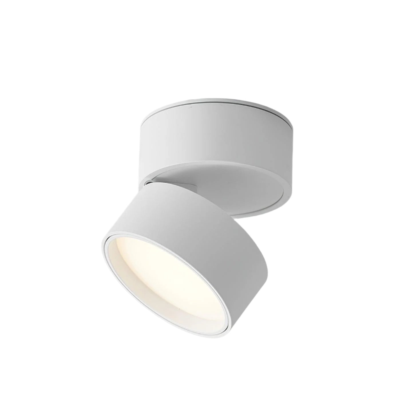 Savvina Adjustable Minimalist Ceiling Light