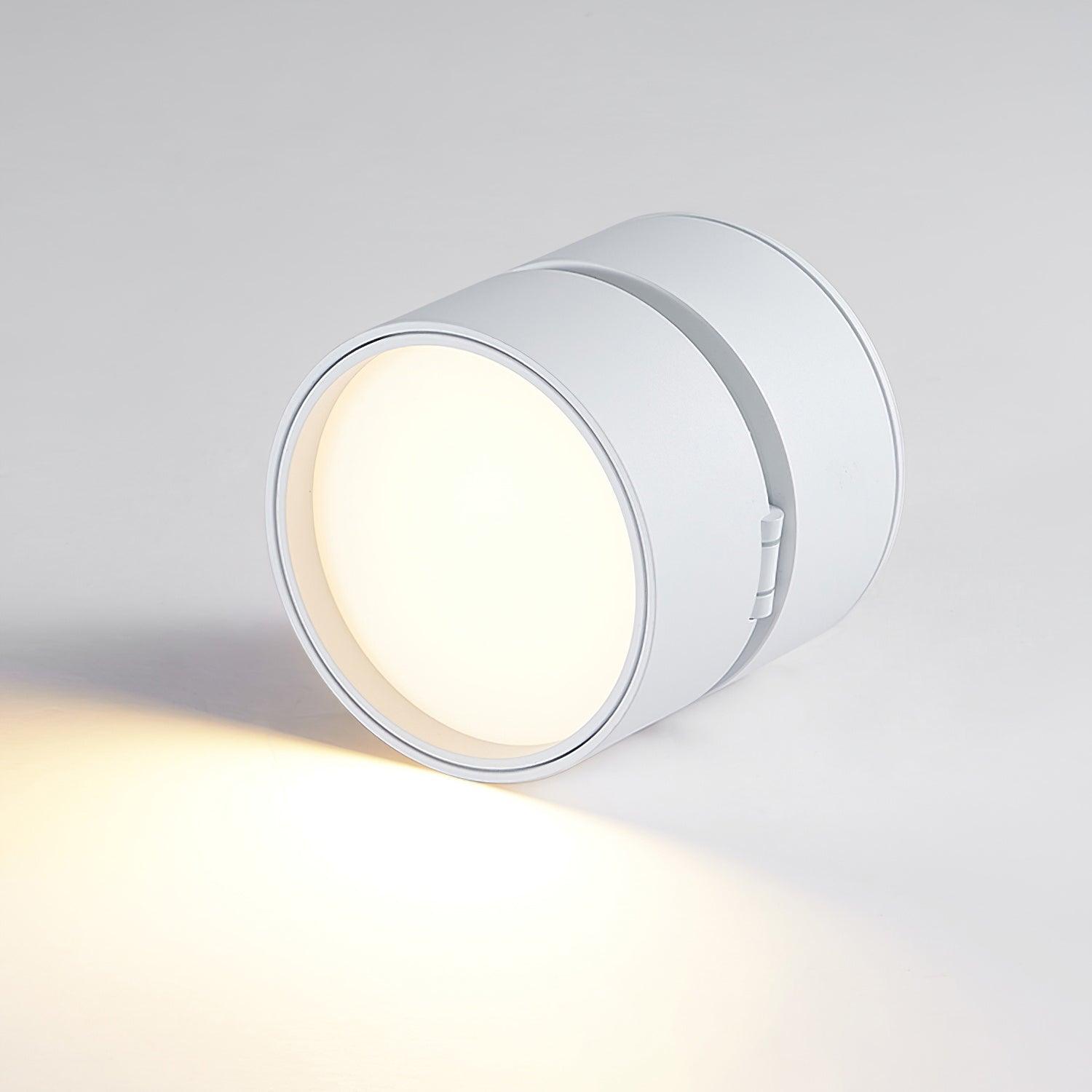 Savvina Adjustable Minimalist Ceiling Light