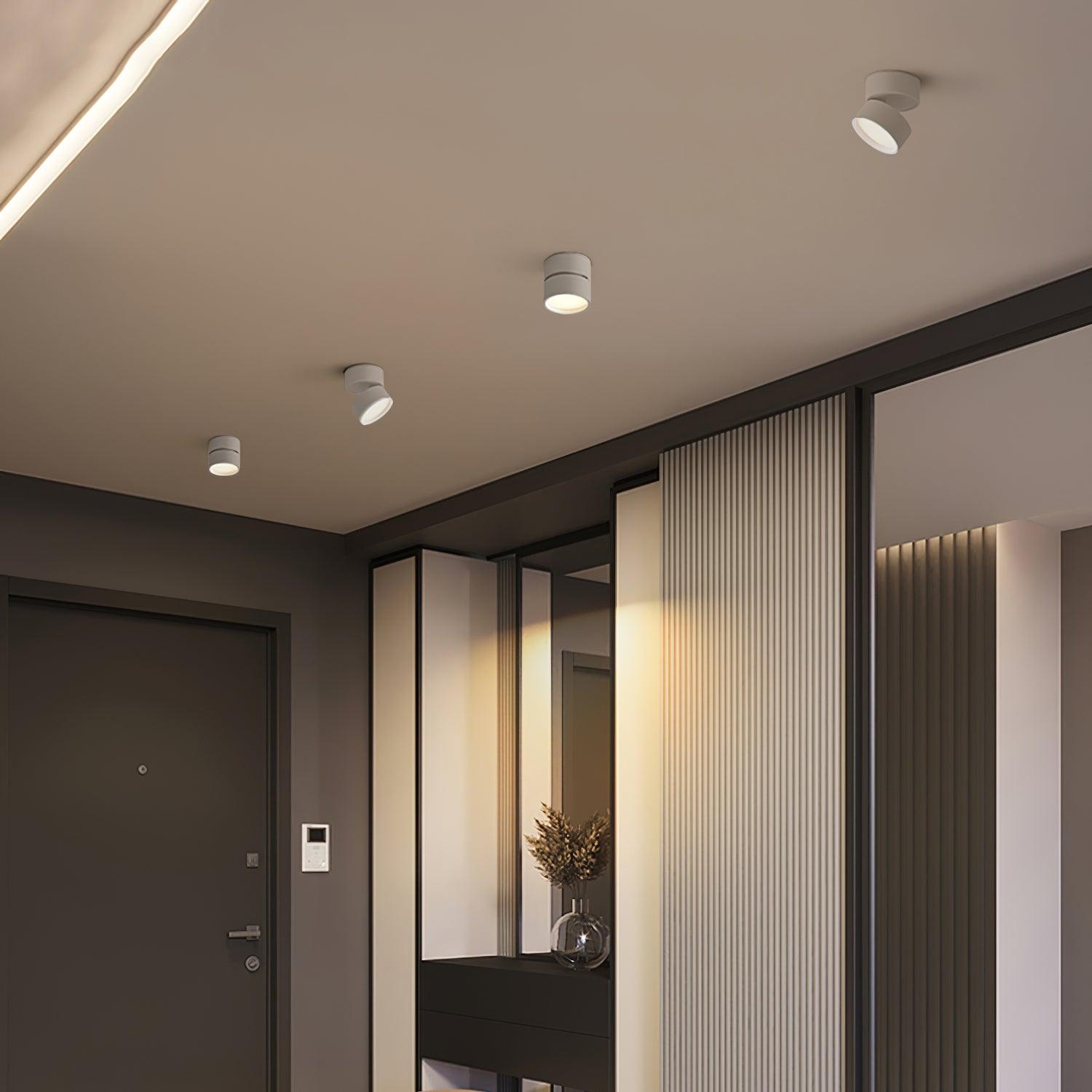 Savvina Adjustable Minimalist Ceiling Light