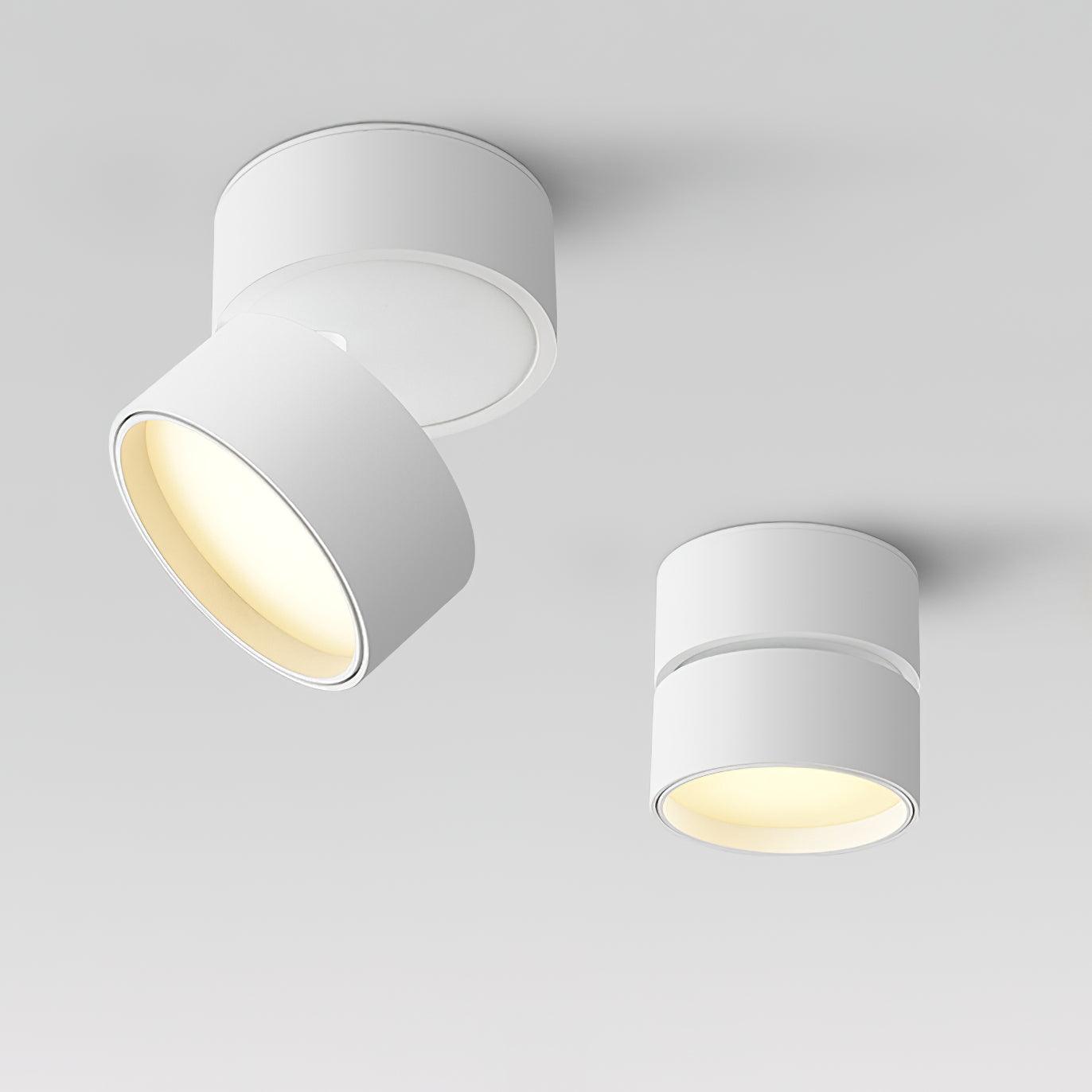 Savvina Adjustable Minimalist Ceiling Light