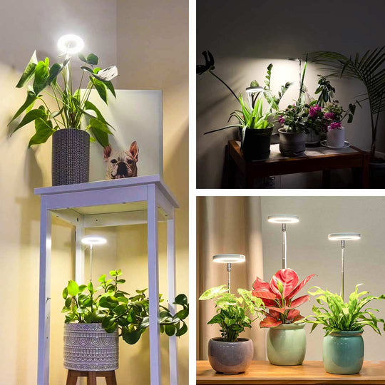Plant Lamp – Stylish Lighting for Healthy Growth
